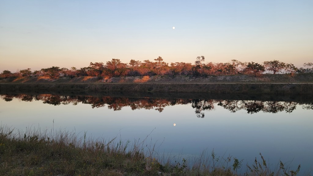 D5 – Privilege&nbsp;parade