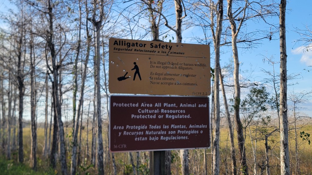 D7 – Mosquitoes and&nbsp;gators