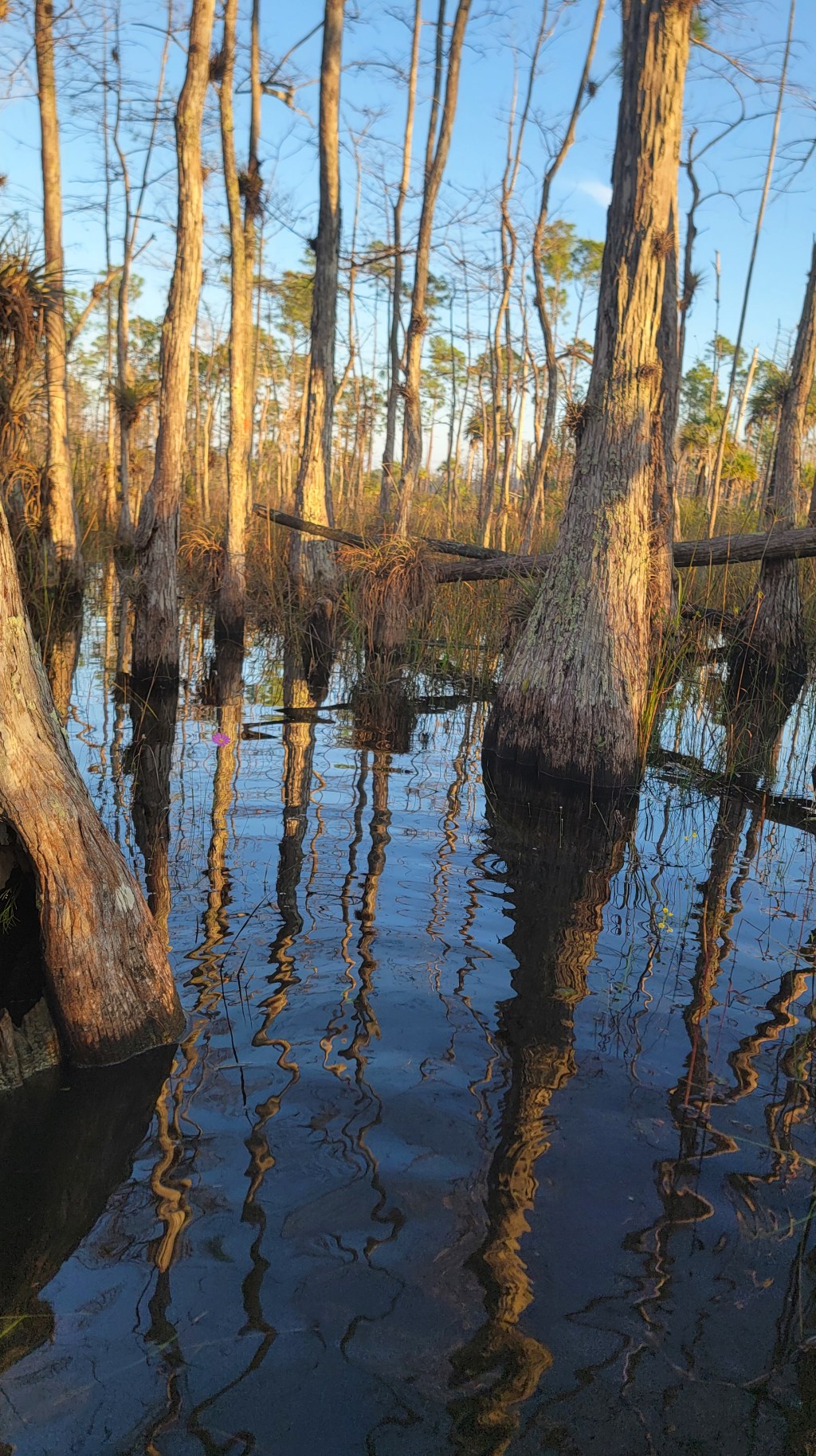 D9 – Concrete&nbsp;shoes