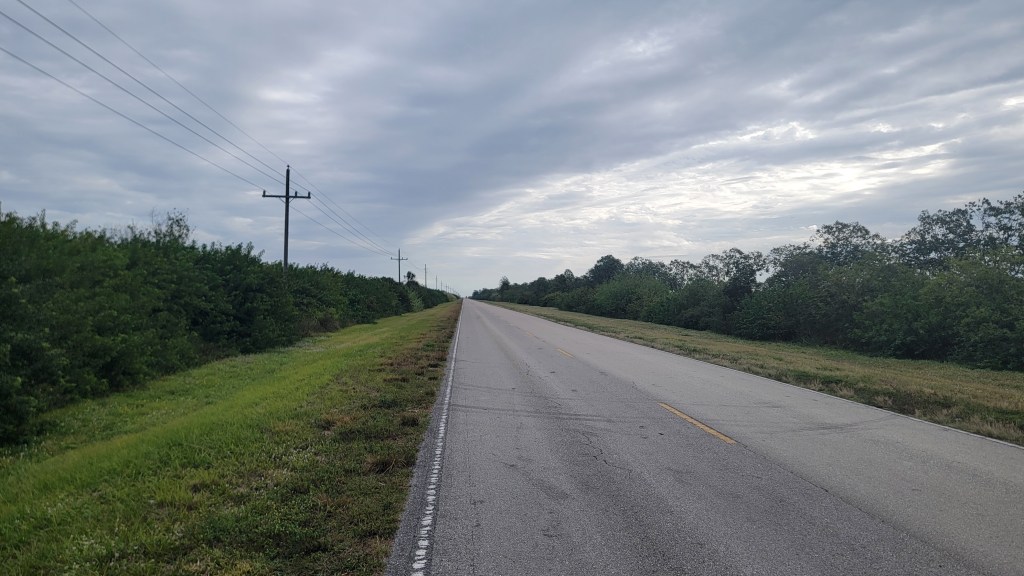 D11 – Evercaine shortcut to the&nbsp;rescue