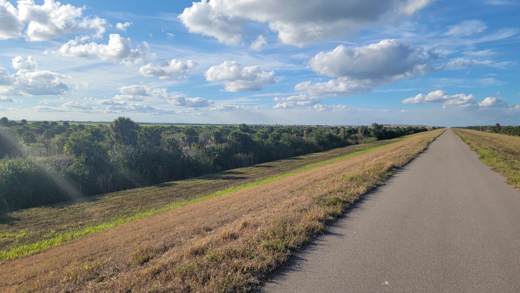 D12 – Beautiful, delicious, and&nbsp;friendly