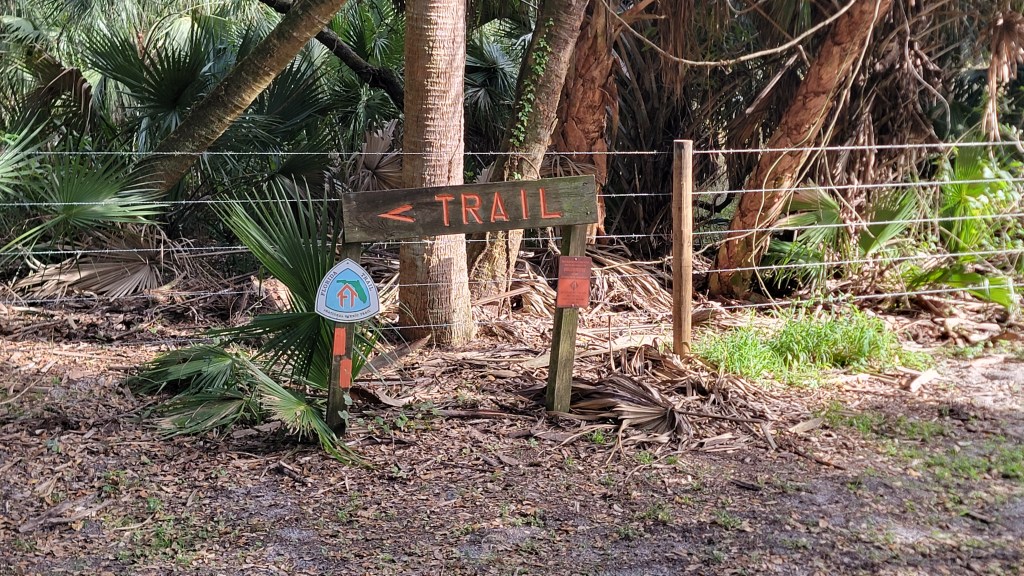 D15 – Actual trail and it’s dry