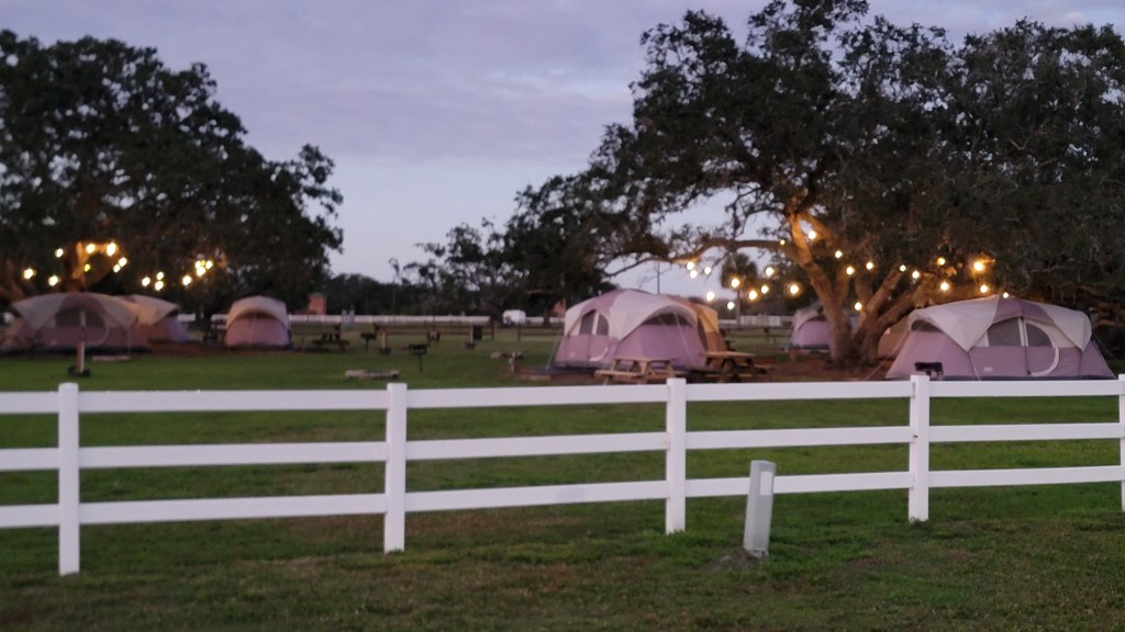 D17 – Glamping observed