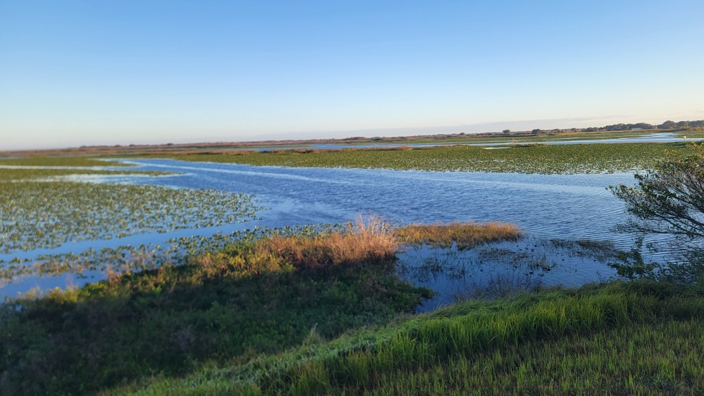 D18 – Subverting the red line